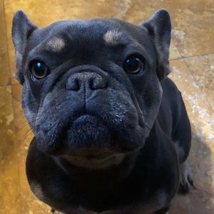 Meet your Posher, David